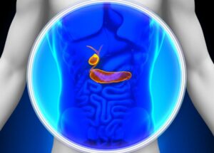 Πέτρα Στη Χολή